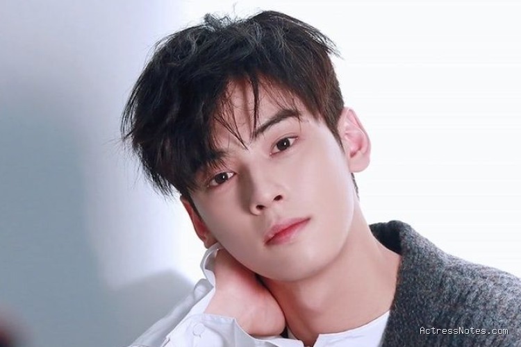 Biodata Cha Eun Woo: Agama, Keluarga, Pacar, dan Perjalanan Karir