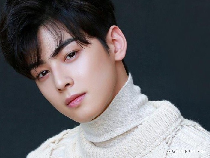 Biodata Cha Eun Woo: Agama, Keluarga, Pacar, dan Perjalanan Karir