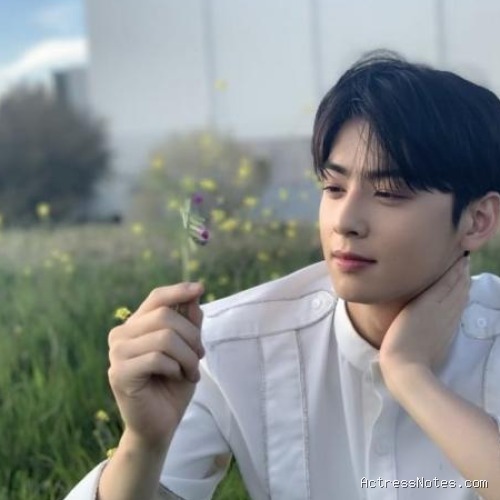 Biodata Cha Eun Woo: Agama, Keluarga, Pacar, dan Perjalanan Karir