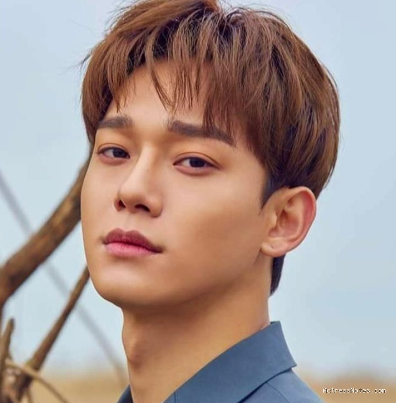 Biodata Chen Exo: Agama, Keluarga, Pacar, Fakta dan Karir