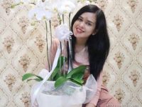 biodata-cut-meyriska-agama-keluarga-pacar-karir-52589 Biodata Cut Meyriska: Agama, Keluarga, Pacar, Karir
