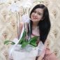 Biodata Cut Meyriska: Agama, Keluarga, Pacar, Karir