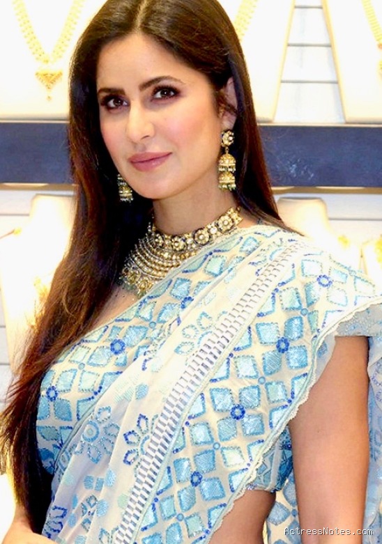 Biodata Katrina Kaif: Agama, Keluarga, Pacar, Fakta dan Karir