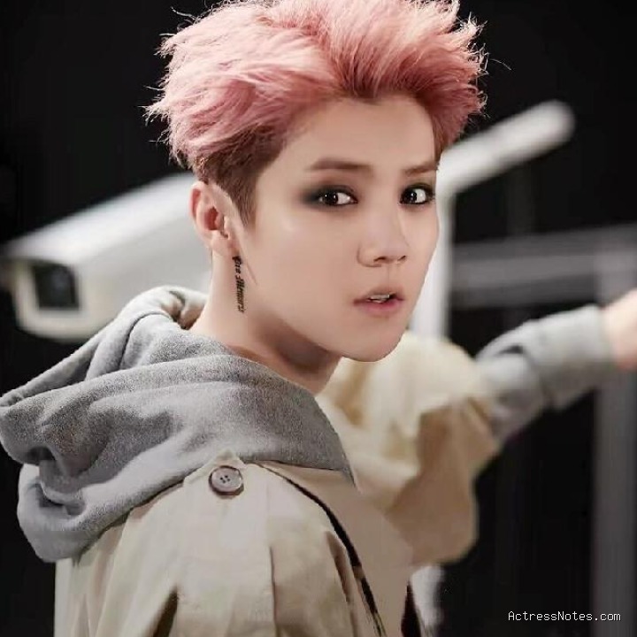 Biodata Luhan: Agama, Keluarga, Pacar, Fakta dan Karir