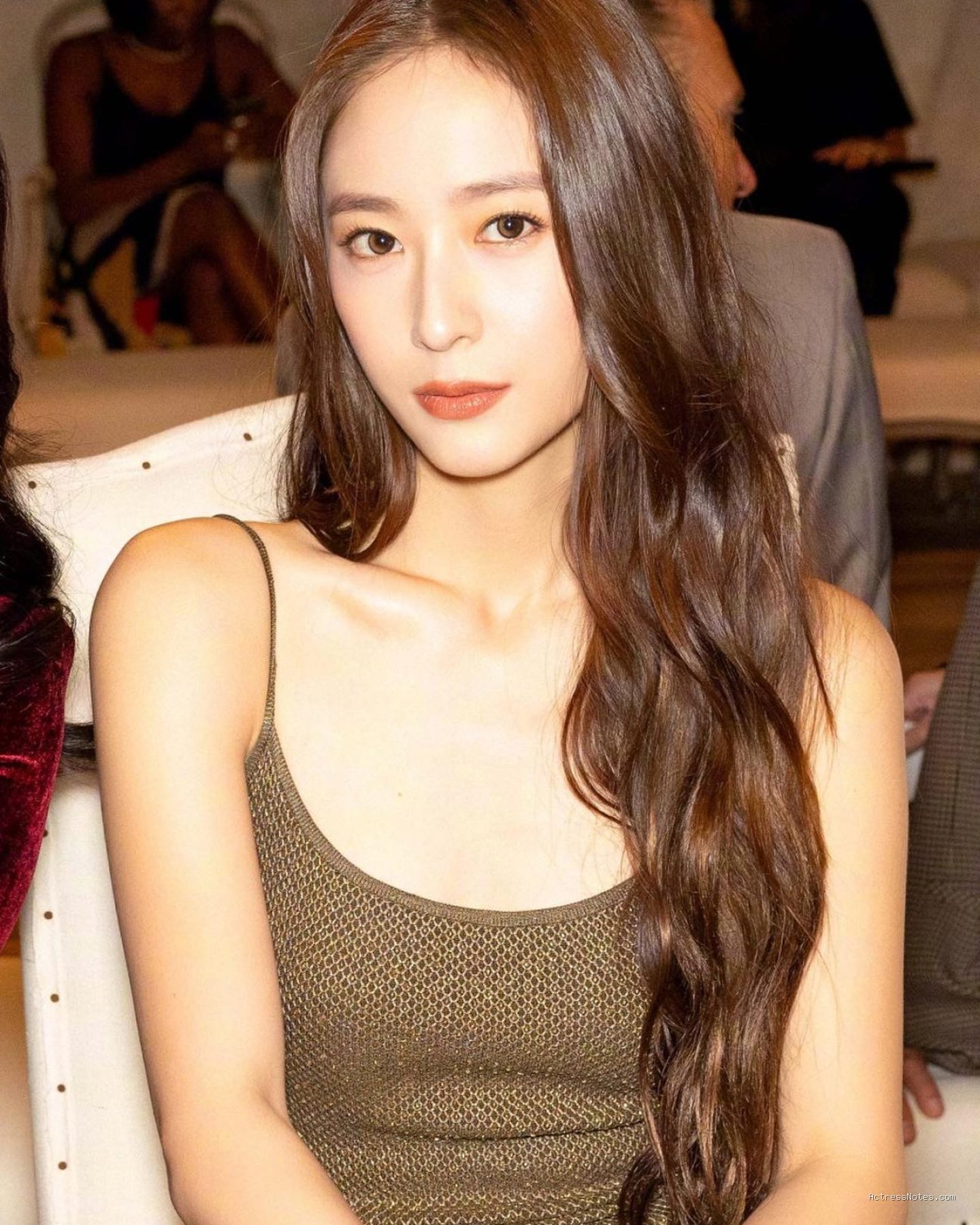 Profil dan Biodata Krystal Jung: Perjalanan Karier Musik dan Film