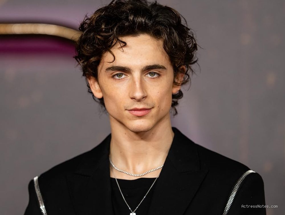 Profil dan Perjalanan Karier Film Timothee Chalamet Lengkap