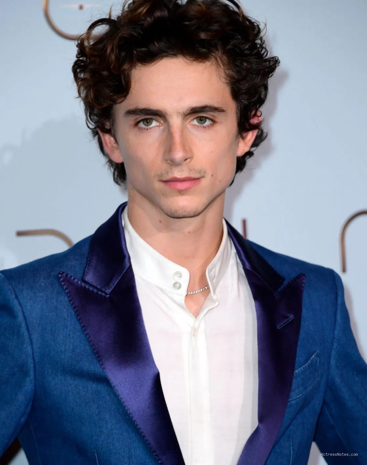 Profil dan Perjalanan Karier Film Timothee Chalamet Lengkap