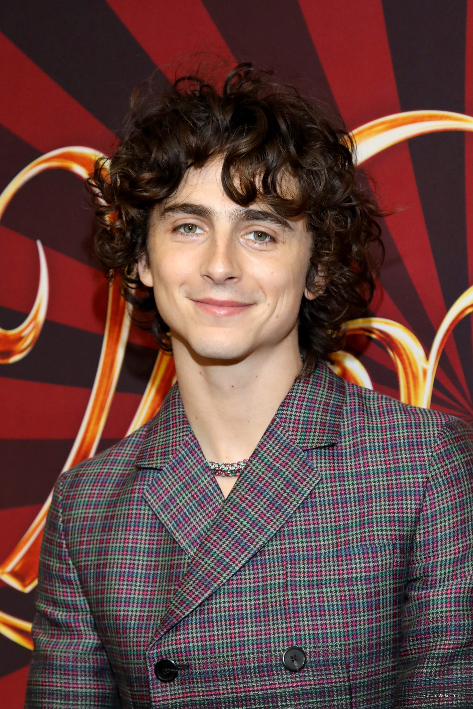 Profil dan Perjalanan Karier Film Timothee Chalamet Lengkap