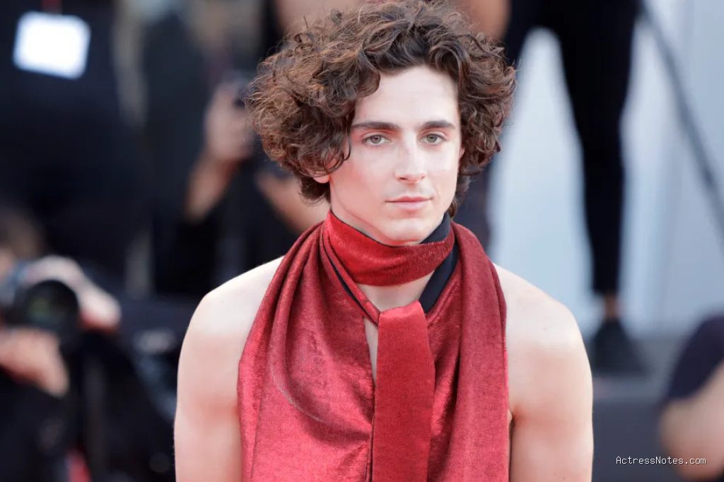 Profil dan Perjalanan Karier Film Timothee Chalamet Lengkap