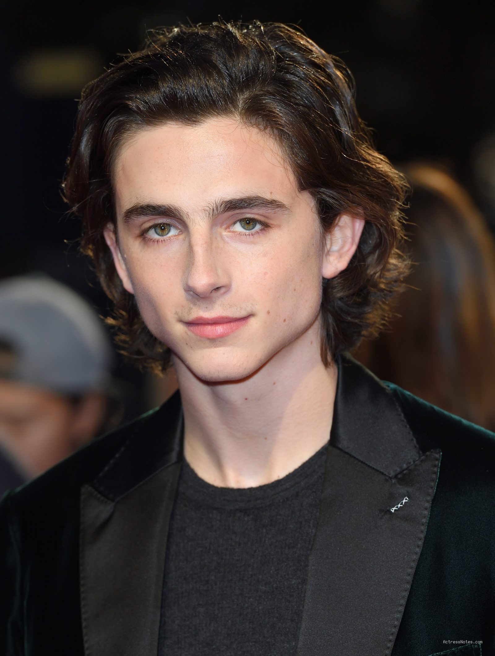 Photo by imdb.com - Profil dan Perjalanan Karier Film Timothee Chalamet Lengkap