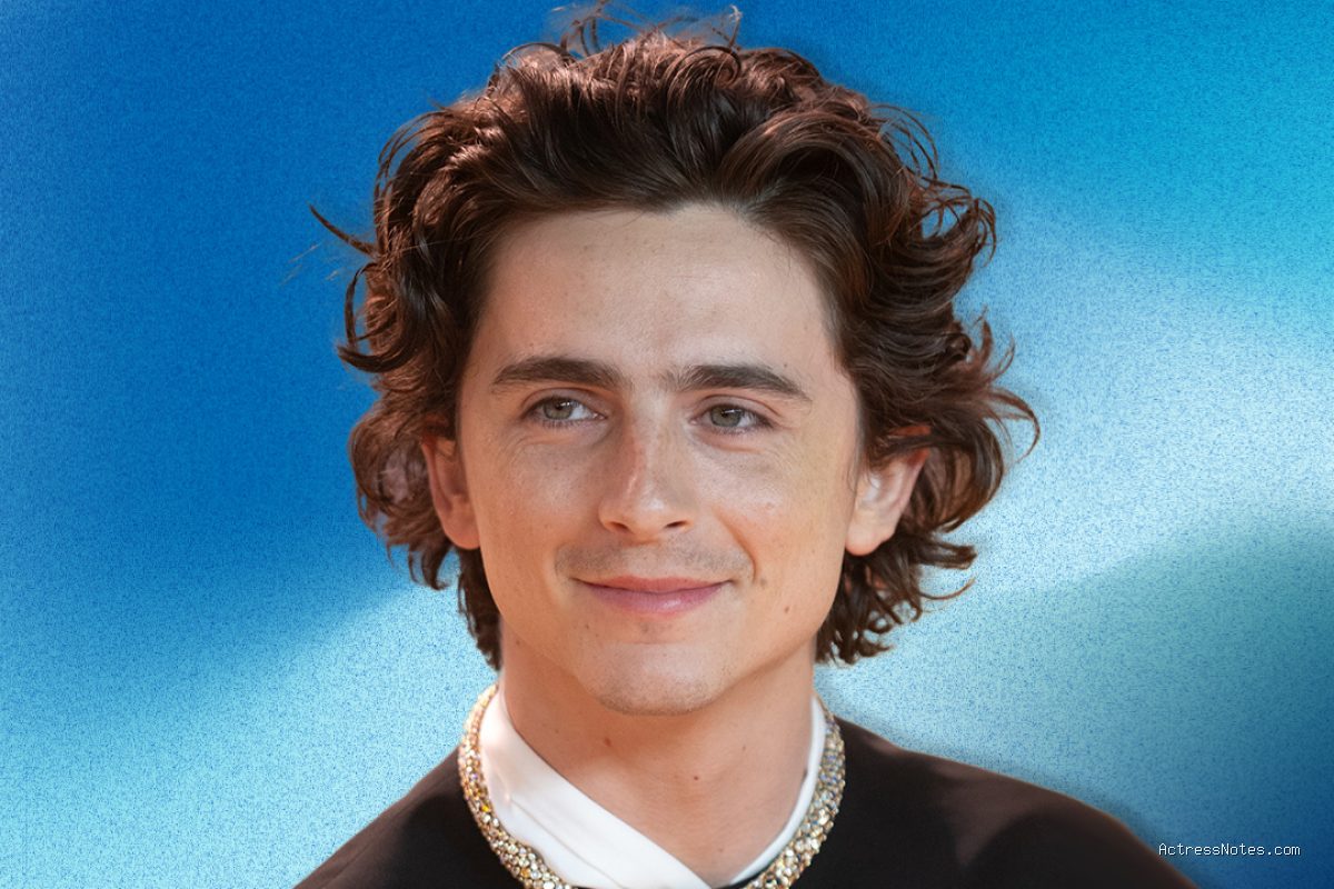 Profil dan Perjalanan Karier Film Timothee Chalamet Lengkap