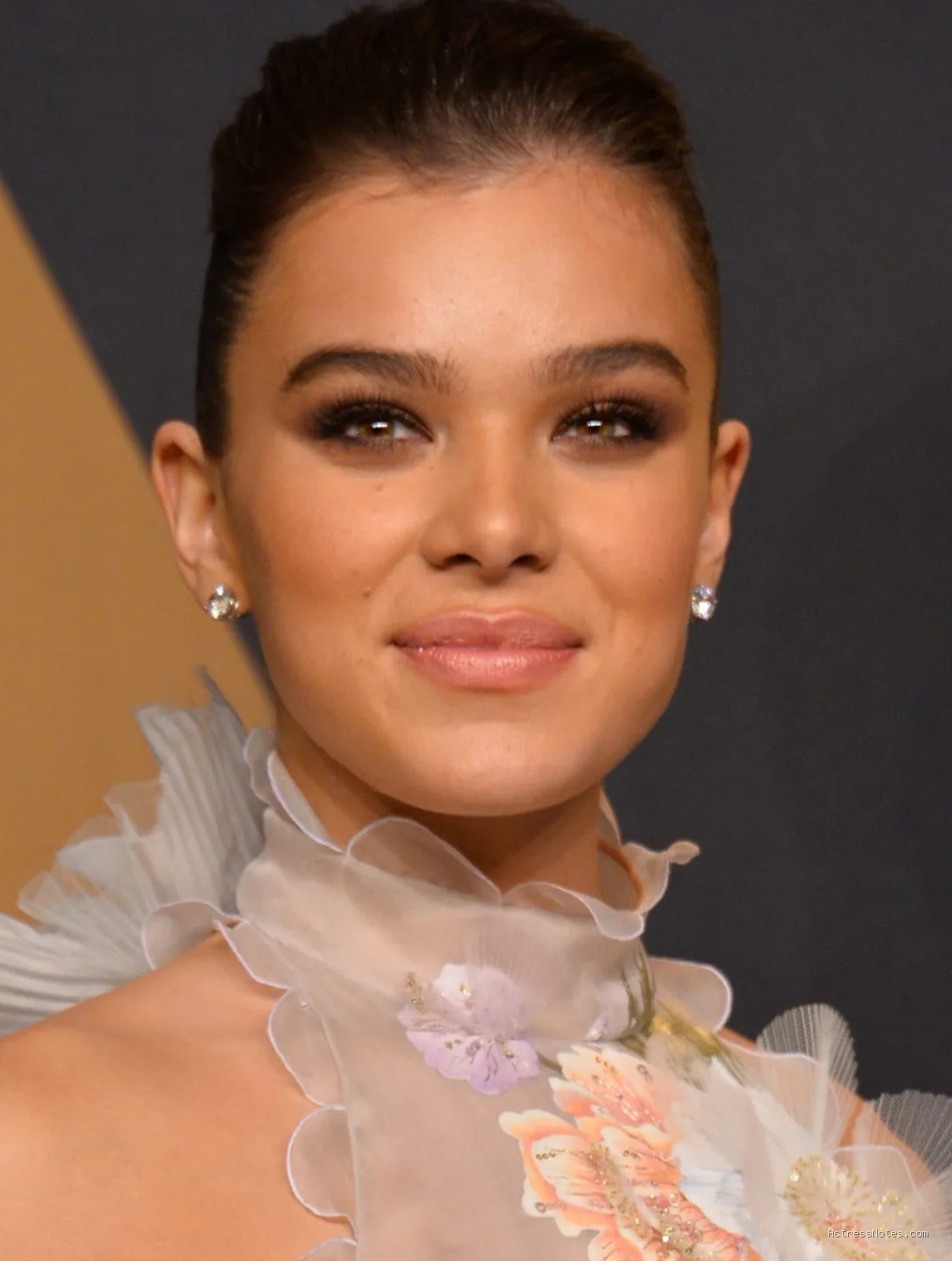 Photo by britannica.com - Profil Lengkap Hailee Steinfeld: Perjalanan Karier Musik dan Film
